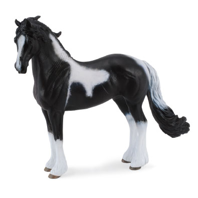 Barock Pinto Stallion - 88438