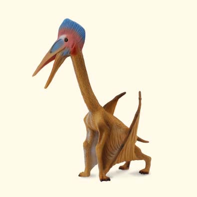 Hatzegopteryx - age-of-dinosaurs-popular-sizes