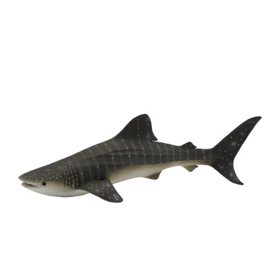 Whale Shark - 88453