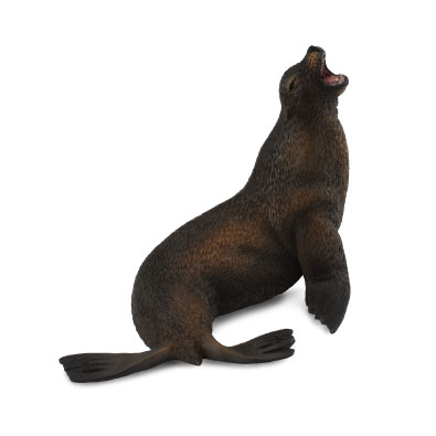 Sea Lion - 88454