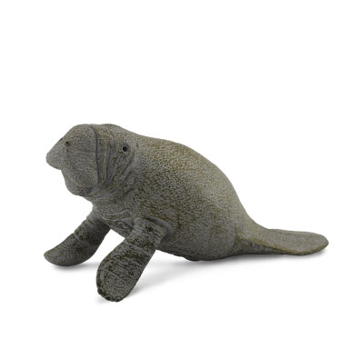 Manatee Calf - Sitting - 88457