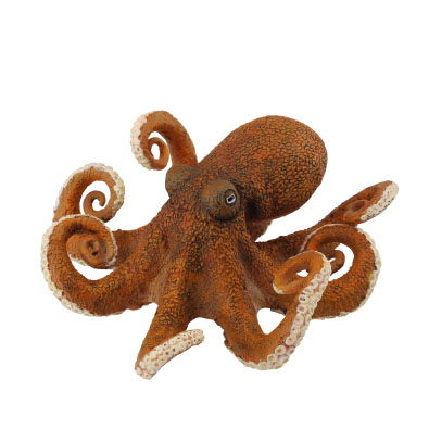 Octopus - oceans