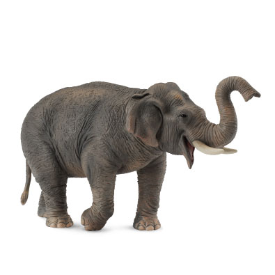 Asian Elephant  - 88486