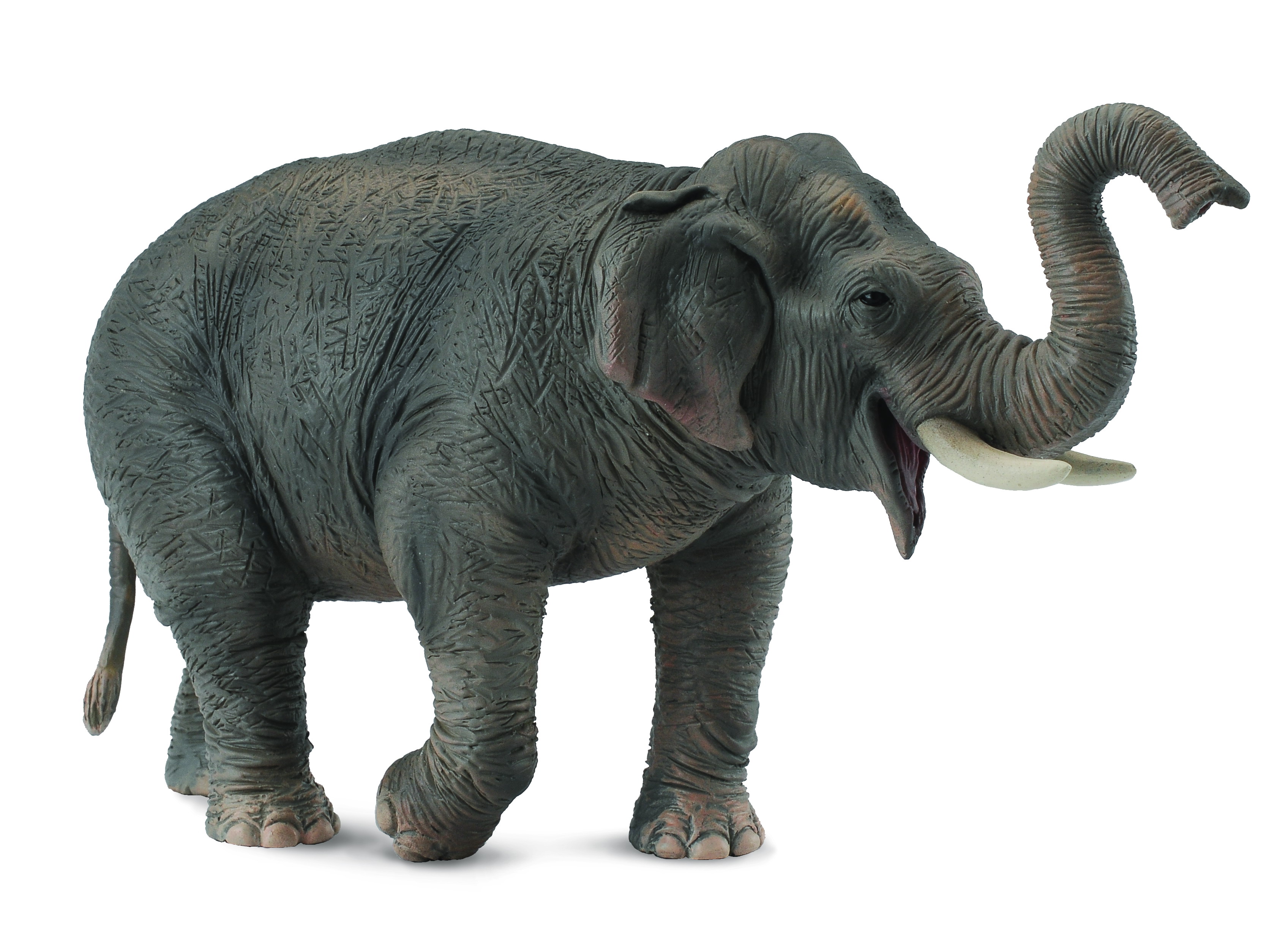 NUOVO CollectA Elefante Asiatico plastica solida giocattolo Wild Zoo Animale 