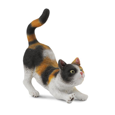 3-Colour House Cat - Stretching - 88491