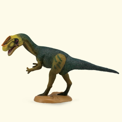 Proceratosaurus - age-of-dinosaurs-popular-sizes