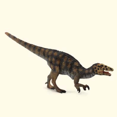 南方猎龙 - age-of-dinosaurs-popular-sizes