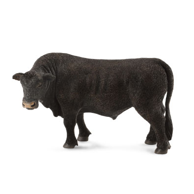 Black Angus Bull - 88507