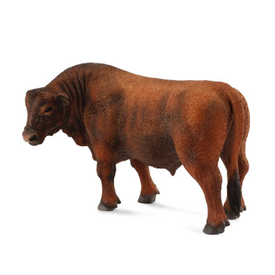 Red Angus Bull - 88508