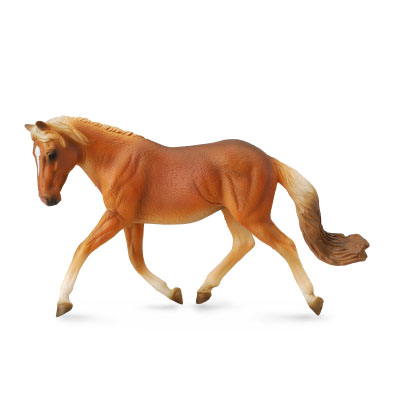 Haflinger Mare - 88519