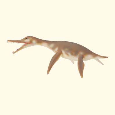 Dolichorhynchops - age-of-dinosaurs-popular-sizes