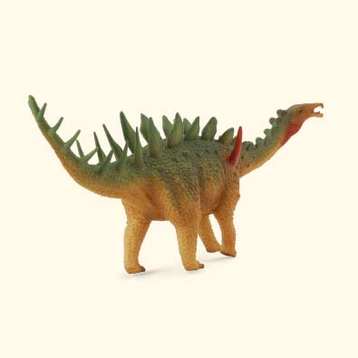 米拉加亚龙 - age-of-dinosaurs-popular-sizes