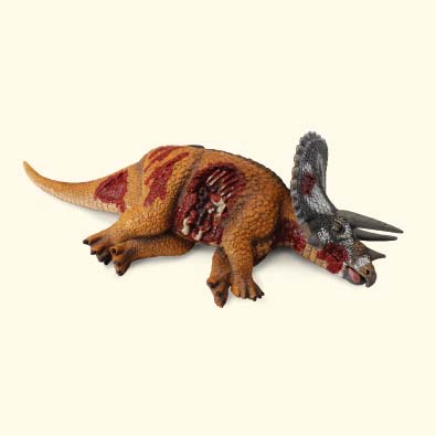 Triceratops herido - age-of-dinosaurs-popular-sizes