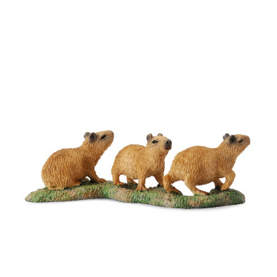 Capybara Babies - south-america