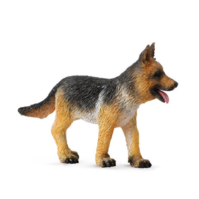 German Shepherd Puppy - 88553