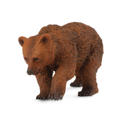Brown Bear Cub - 88561