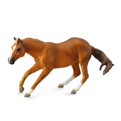 奎特母马 - 栗色 - horses-1-20-scale