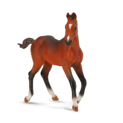 Quarter Horse foal - Bay - horses-1-20-scale