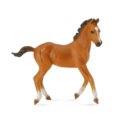 Quarter Horse foal - Sorrel - horses-1-20-scale