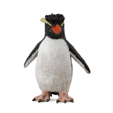 Pingüino de Penacho Amarillo