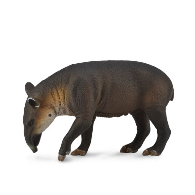Tapir Centroamericano - south-america