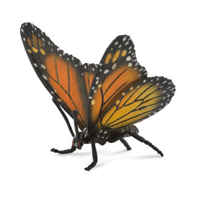 Mariposa Monarca - 88598