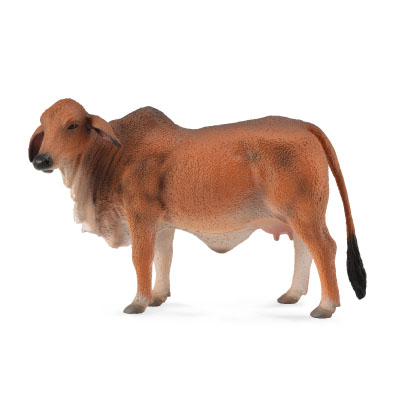 Vaca Brahman Rojo - 88600