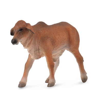 Red Brahman Calf - 88601