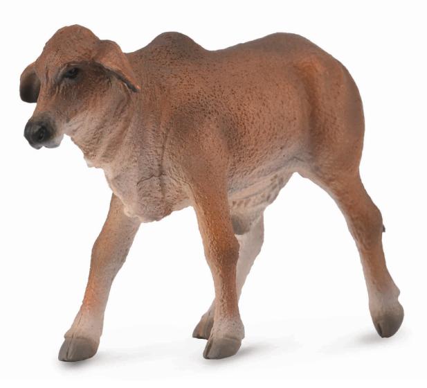 Collecta 88581 Brahman Calf Miniature Animal Figure Toy for sale online 