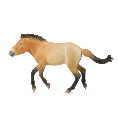 Przewalski Stallion - horses-1-20-scale