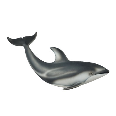Pacific White-Sided Dolphin - oceans
