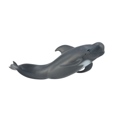 Pilot Whale - 88613