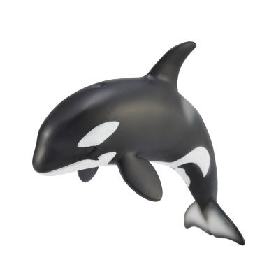 Orca Calf - oceans