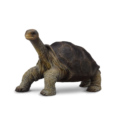 Pinta Island Tortoise (Lonesome George) - south-america