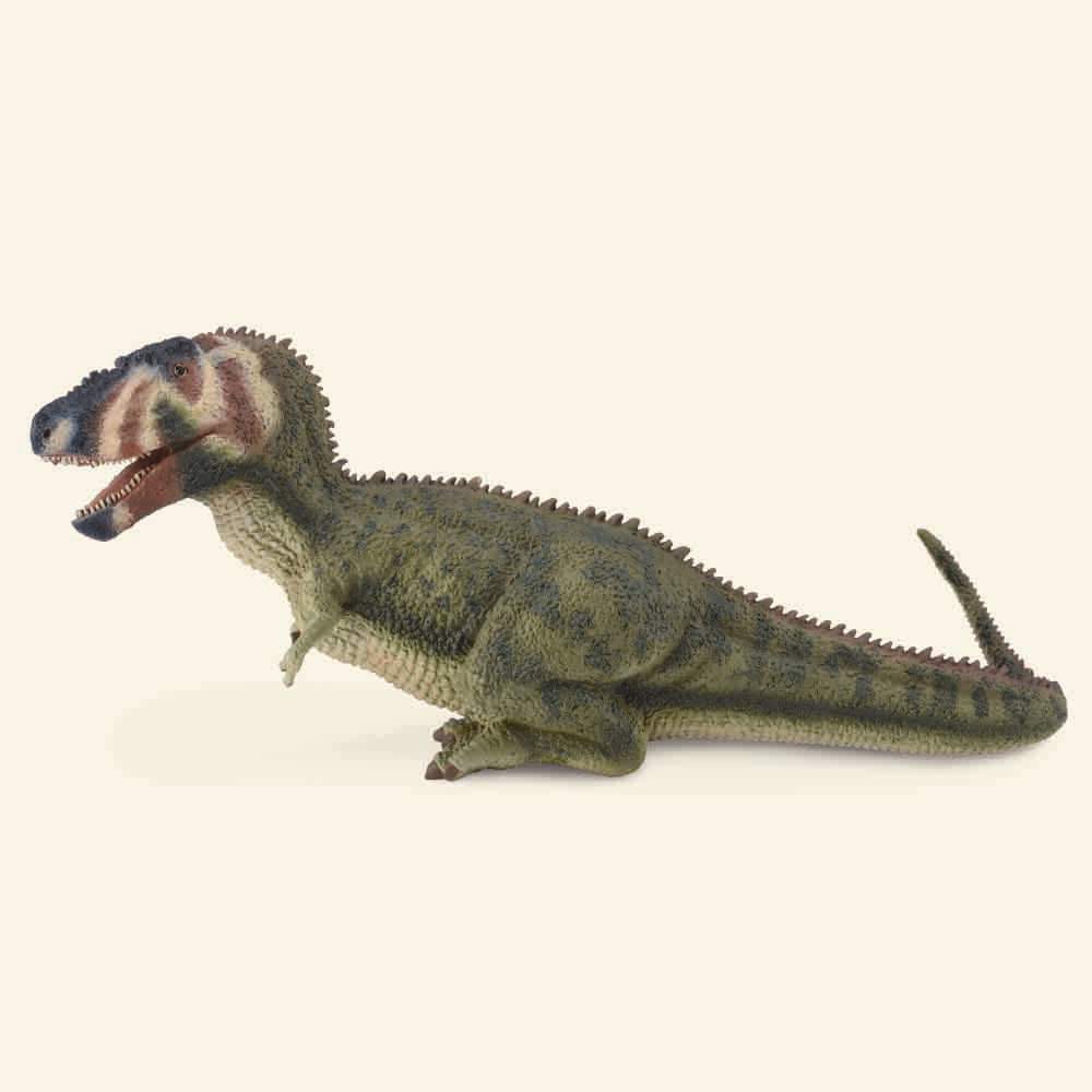 Daspletosaurus 5 1/2in DINOSAURS CollectA 88628 