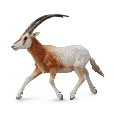 Scimitar-Horned Oryx - 88637