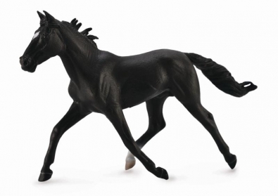 Semental Standardbred Negro - 88645