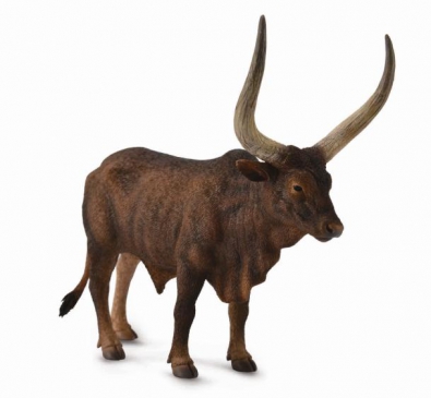 Ankole-Watusi Bull - farm-life