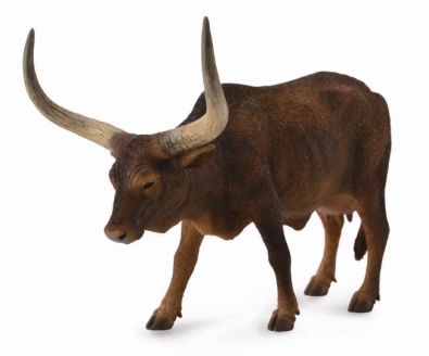 Ankole-Watusi Cow - 88649