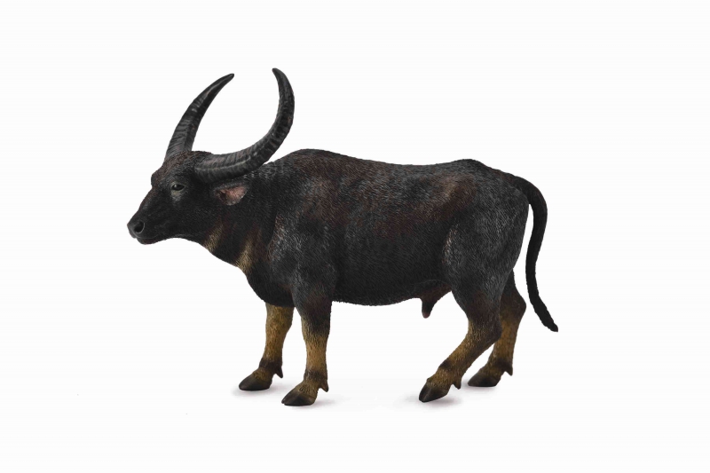 Wild Water Buffalo - Collecta Figures: Animal Toys, Dinosaurs, Farm, Wild,  Sea, Insect, Horses, Prehistoric, Woodlands, Dogs, Cats, Animal Replica