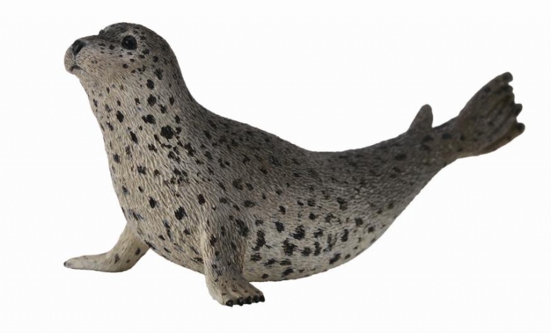 COLLECTA 88806 Leopard Seal Miniature Animal Figure Toy 