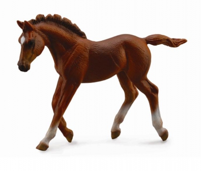 Thoroughbred foal Walking - Chestnut - horses-1-20-scale