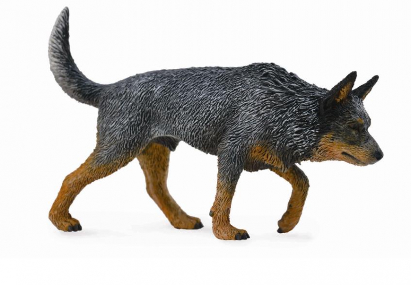 Australian Cattle Dog - Collecta Figures: Animal Toys, Dinosaurs, Farm,  Wild, Sea, Insect, Horses, Prehistoric, Woodlands, Dogs, Cats, Animal  Replica