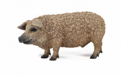 Cerdo Mangalica - farm-life