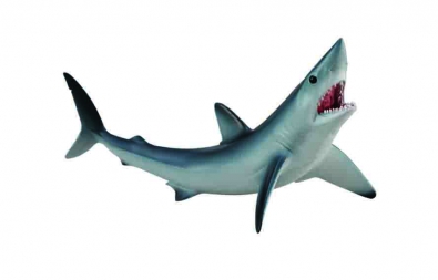 Shortfin Mako Shark - oceans