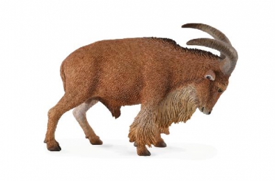 Barbary Sheep - 88683