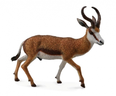 Springbok - 88684