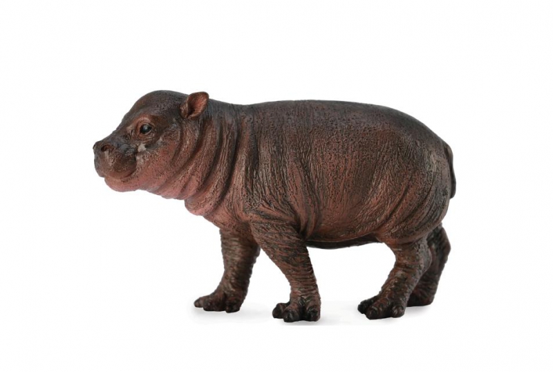 CollectA PYGMY HIPPO CALF solid plastic toy wild zoo animal hippopotamus  NEW 