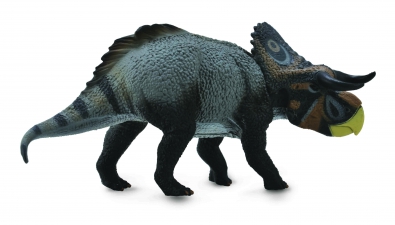 Nasutoceratops    - age-of-dinosaurs-popular-sizes