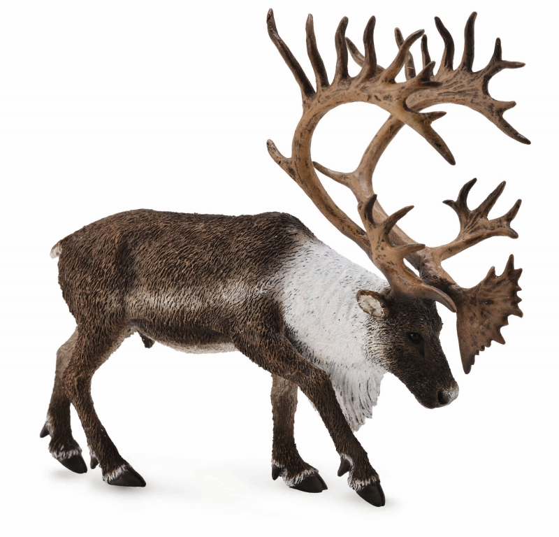 NEW CollectA WOODLAND CARIBOU solid plastic toy wild zoo animal deer 